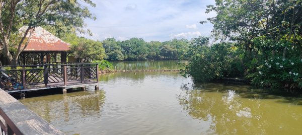 八德埤塘生態公園2890761