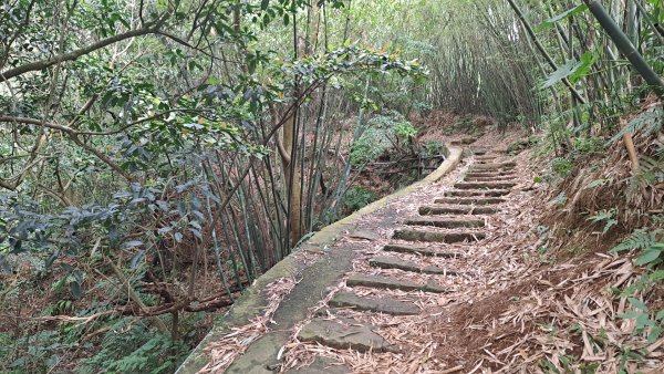 20240305坪頂古圳-登峰圳-內雙溪古道-瑪礁古道-大崎頭步道O繞2447167