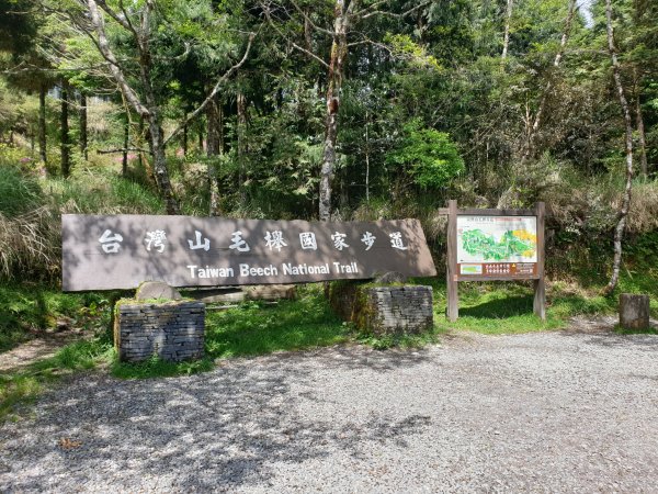 太平山山毛櫸步道1572010