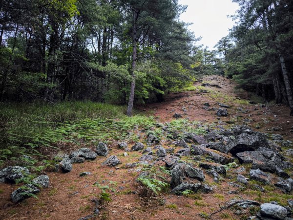 2026-05-23 小雪山防火巷、拾丸山南峰3062359