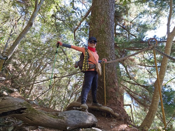 【谷關七雄】波津加(H1771.6m)肉腳配速成功2670440