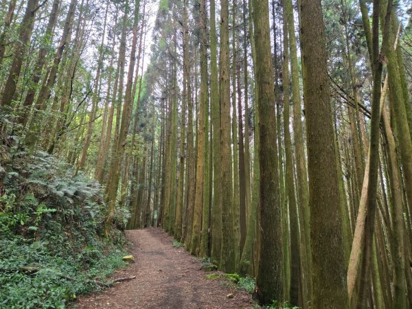 石山引水道2758965