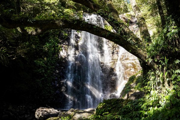 滿月圓森林步道2870096