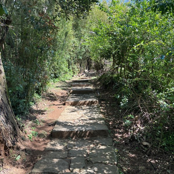 陽明山東西大縱走-西段3016176