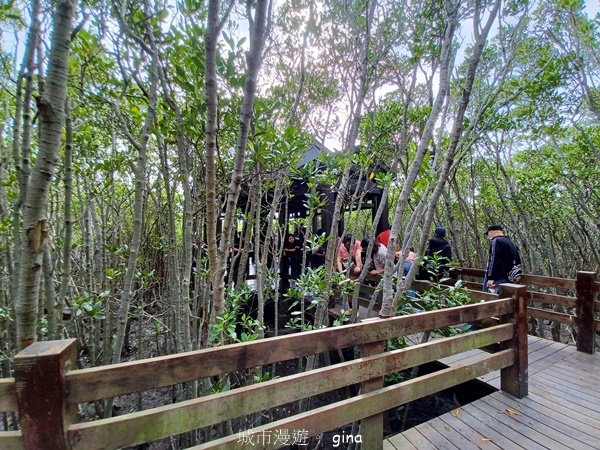 【新竹新豐】台灣唯一建有觀賞步道的生態保護區。 新豐紅樹林生態保護區2381822