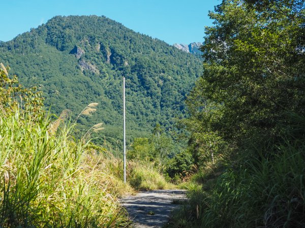 [百岳]能高越嶺逆走與奇萊南峰1042666