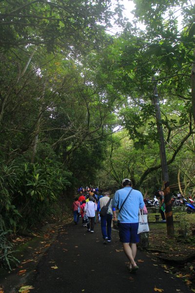 汐止大尖山健行活動 20191109735072