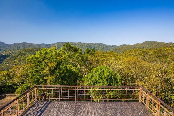 [台北]大崙頭山、碧山巖、忠勇山2746168