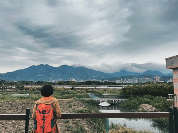 2023 臺北大縱走 8：捷運關渡站至華江雁鴨自然公園(上)2079500