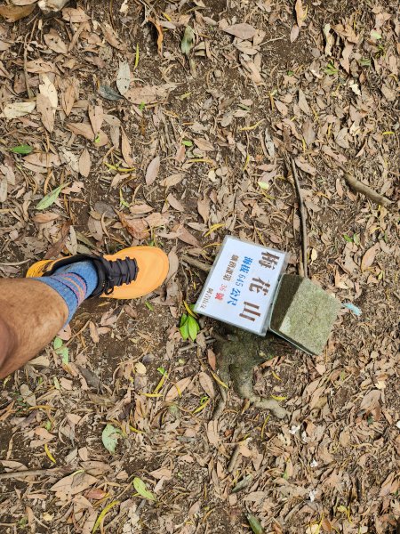 金面山-風櫃嘴折返跑2777498