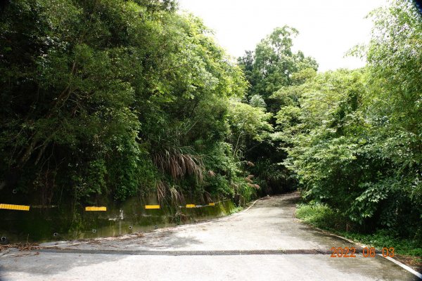 嘉義 梅山 鹿崛坪山(幼葉林山)1730025