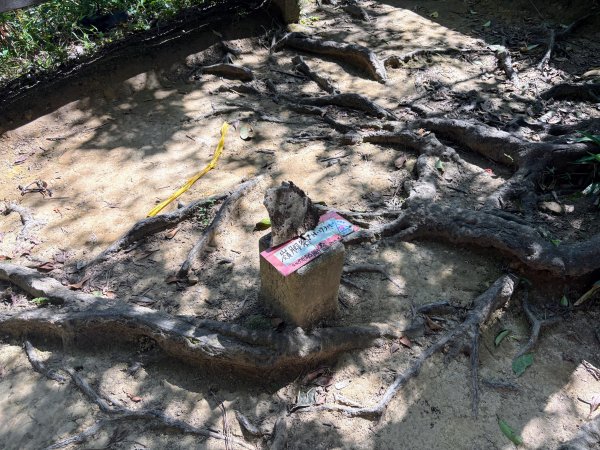 五分山系-望古瀑布段2896303