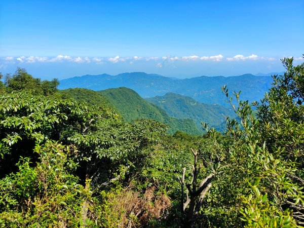 東眼山1465114