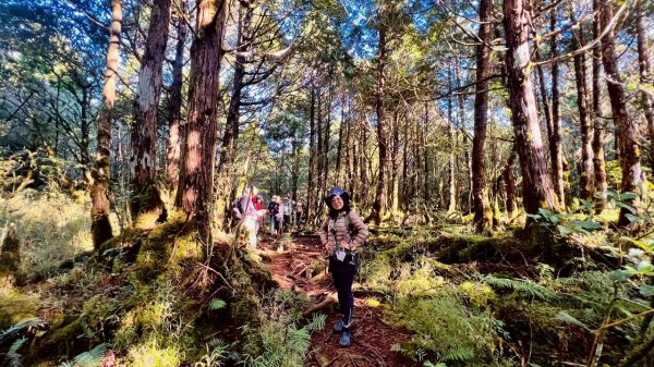 🌈11/29(六)-30(日)空靈系秘境~太平山-三星山(小百岳)⛰️+三星池~🌈2952238