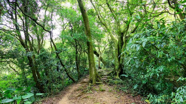 微笑山線405高地段2844165