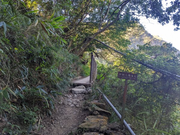 防護措施完善的五星級步道：里龍山(小百岳#80)1535908