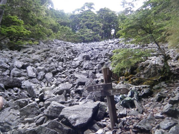 變幻無窮的高山百岳 三天兩夜武陵四秀 健行筆記