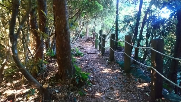 八仙山松鶴線689840