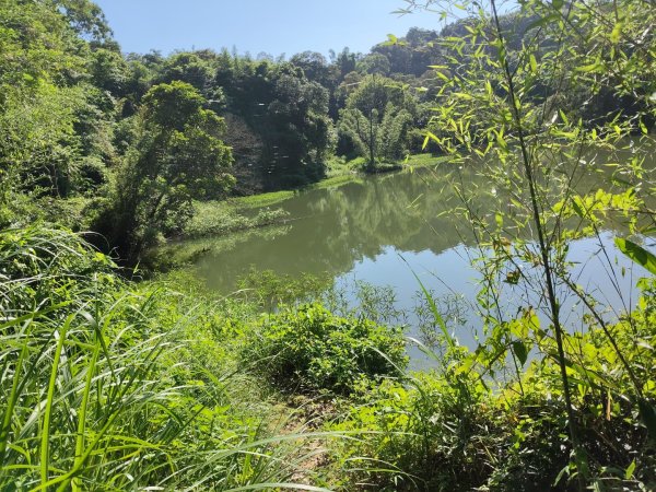 寶山水庫環湖步道3081798