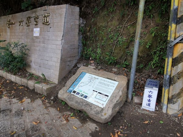 六寮古道→高峰植物園→鳳崎落日→石門水庫楓林→東眼山→鳶山→五酒桶山→台大椰林→富陽公園→象山步道1667345