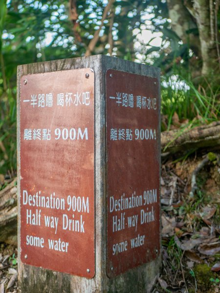 戀戀火燒島—牛頭山、過山古道、阿眉山、仙人疊石1749207