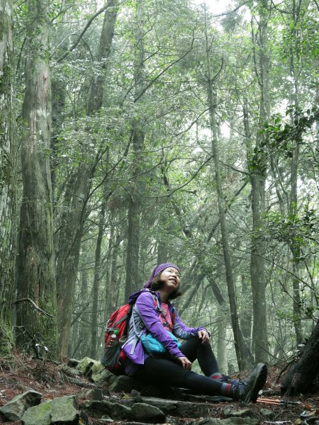 20200315 迷霧森林-馬崙山883853