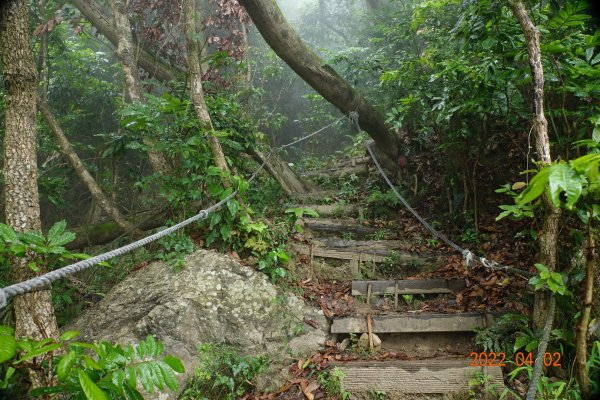 臺南 南化 王爺崙山1664018