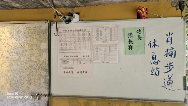 宜蘭燈篙林道.肖楠步道.雙月湖O走3114606