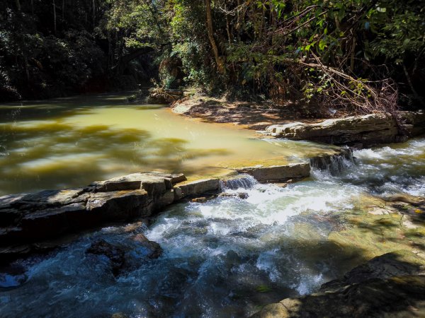 2024-08-22 澀水森林步道2578447