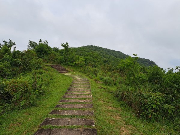 新北桃源谷步道（大溪線）3106371