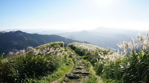 基隆山步道472432