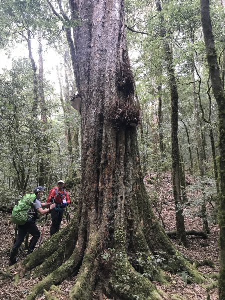 霞喀羅大山,佐藤山順訪佐藤駐在所1324589