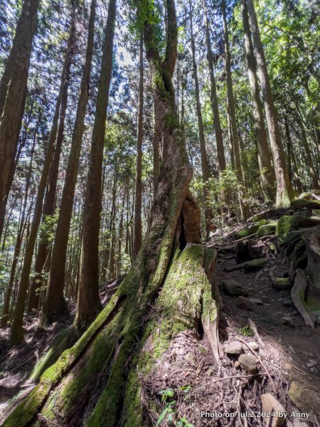 加里山好精彩2547364