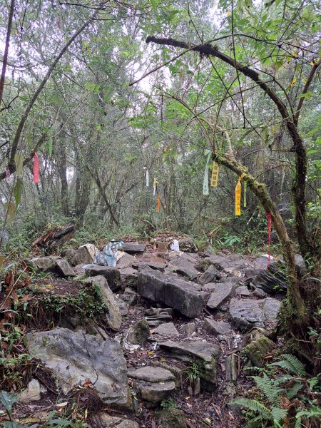 砂卡礑二日行D1：得卡倫步道→大禮部落→砂卡礑林道→立霧山→大同部落202312022368272