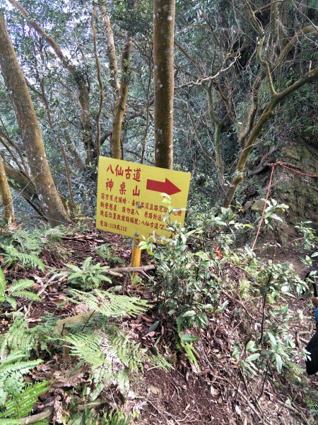 2018 01 20 仙山登山步道252825