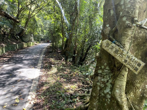 《探訪熊空秘境｜新北三峽雲森瀑布沁涼體驗》2878462