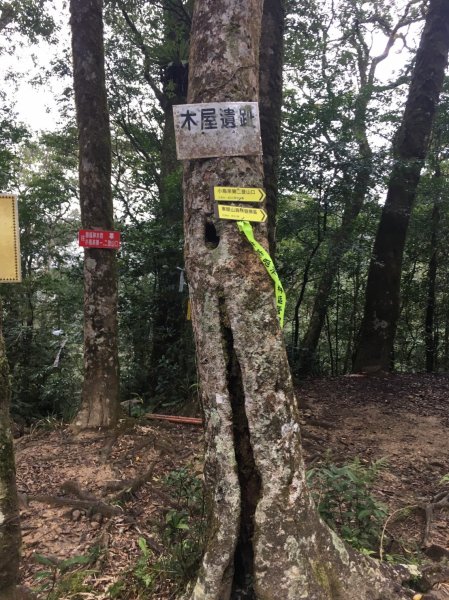 雨神山友：終於中籤的北插天山539963