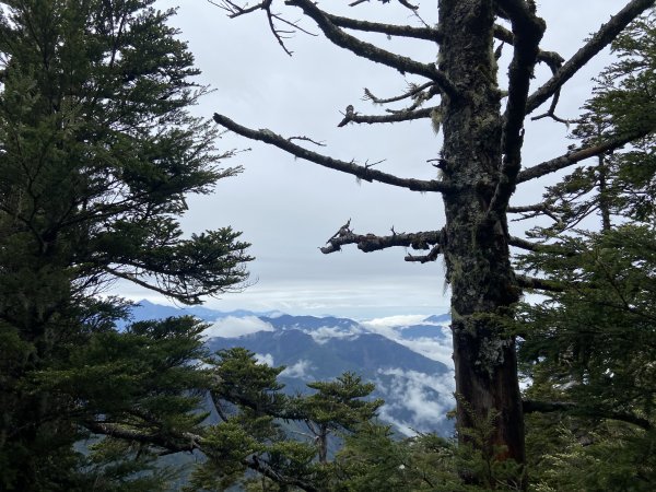 20230515-16玉山前西峰+遠望雨中的主東北2436668