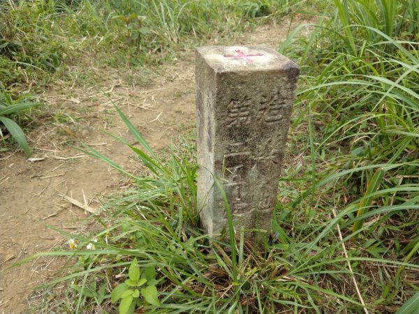 宜蘭-鵲子山3054270