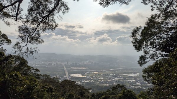 飛鳳山 中坑山2046332