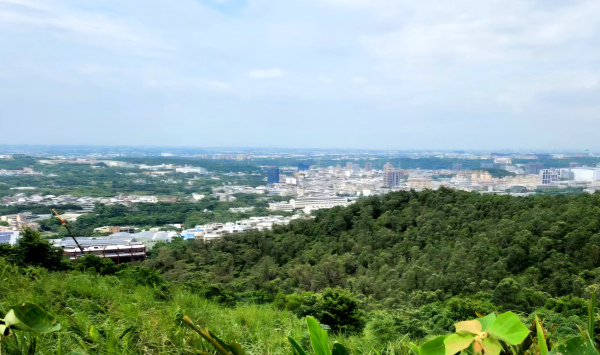 桃園大平山，秀才登山步道，楊梅故事園區，秀才5B埤塘公園，埔心故事館