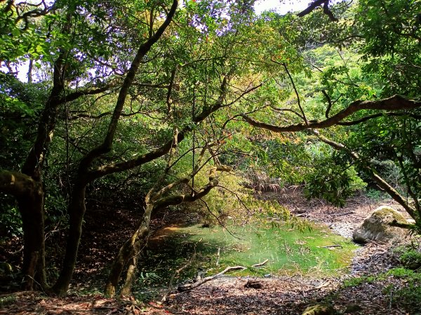 【臺北大縱走 2】【台北-臺灣百大必訪步道】湖光山色的二子坪步道、陡上陡下的大屯山西峰1338048