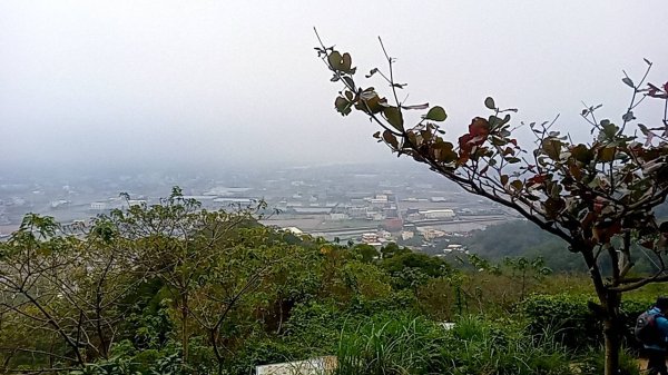 20230228 新竹新豐 鳳崎落日步道 走走2064553