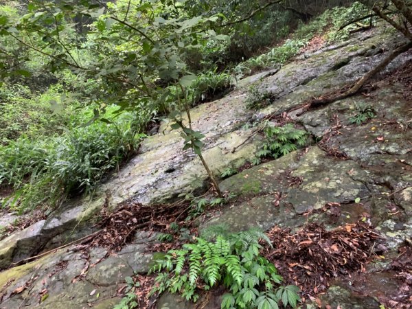 大湖馬拉邦山（小百岳）1065696