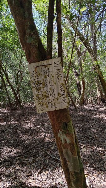 久保山、南久保山2714431