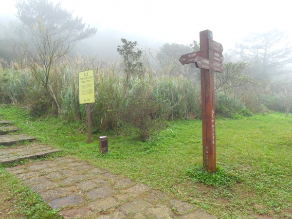 陽明山東西大縱走之半縱走79840