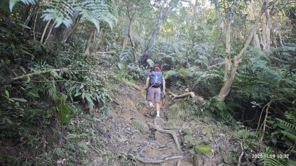 20251109 士林站到大湖站(福山宮_腰繞_燕溪古道_翠山步道_龍船岩_大溝溪)2932344