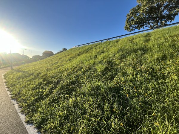 [2025臺北健走趣-02/49] 2025_0630_古亭河濱公園2825335