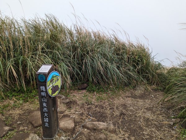 2023-11-19 臺北大縱走第三段2793044