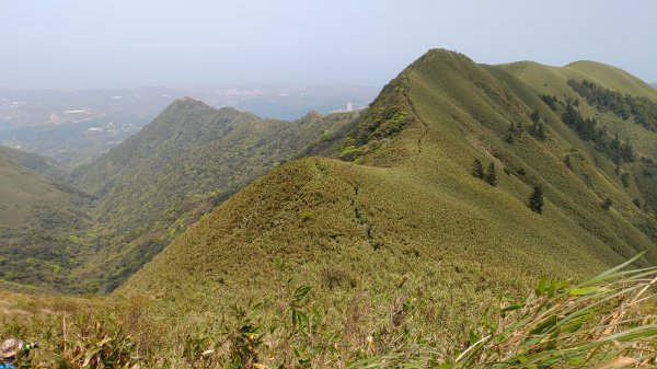 竿尾崙 小觀音山群峰 大屯溪古道